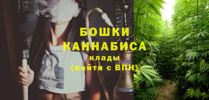 Шишки марихуана OG Kush  Валдай 